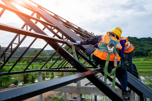 Best Roof Maintenance Services  in Franklin Grove, IL
