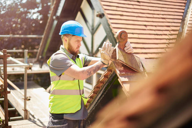 Roof Gutter Cleaning in Franklin Grove, IL
