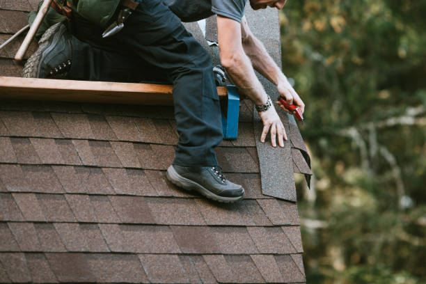 Best Roof Gutter Cleaning  in Franklin Grove, IL