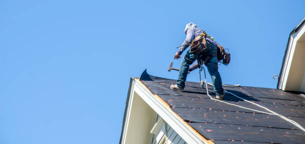 Best Residential Roofing Contractor  in Franklin Grove, IL